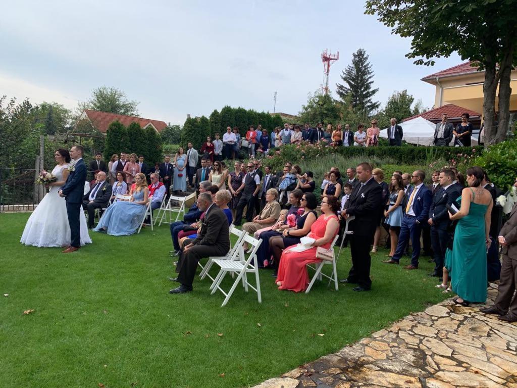 Mlyn Penzion & Wellness Radvan nad Dunajom Екстер'єр фото